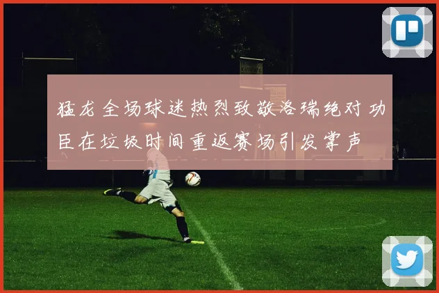 猛龙全场球迷热烈致敬洛瑞绝对功臣在垃圾时间重返赛场引发掌声
